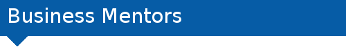 businessMentors businessMentors